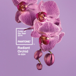 Radiant Orchid – Pantone’s 2014 Color of the Year